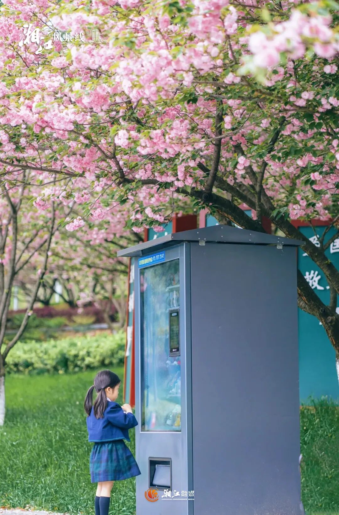 ���յ�������